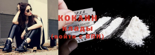 тгк Бородино