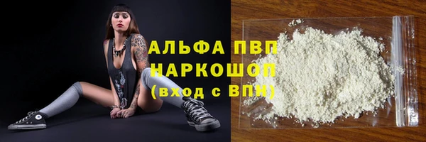 тгк Бородино