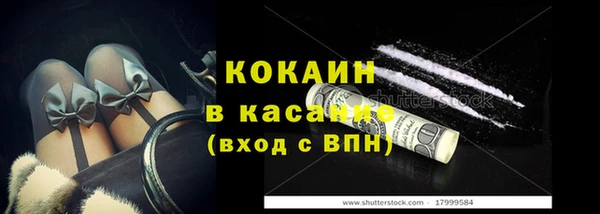 тгк Бородино