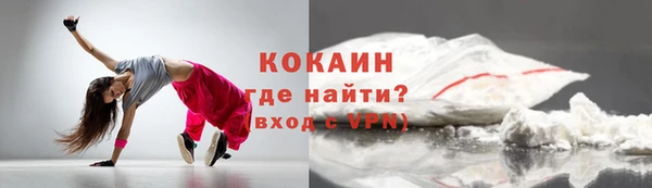 тгк Бородино