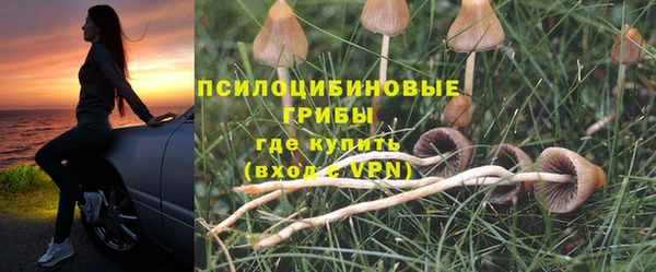 сатива Бугульма