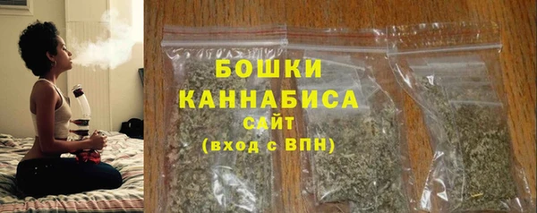 сатива Бугульма