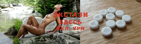 тгк Бородино